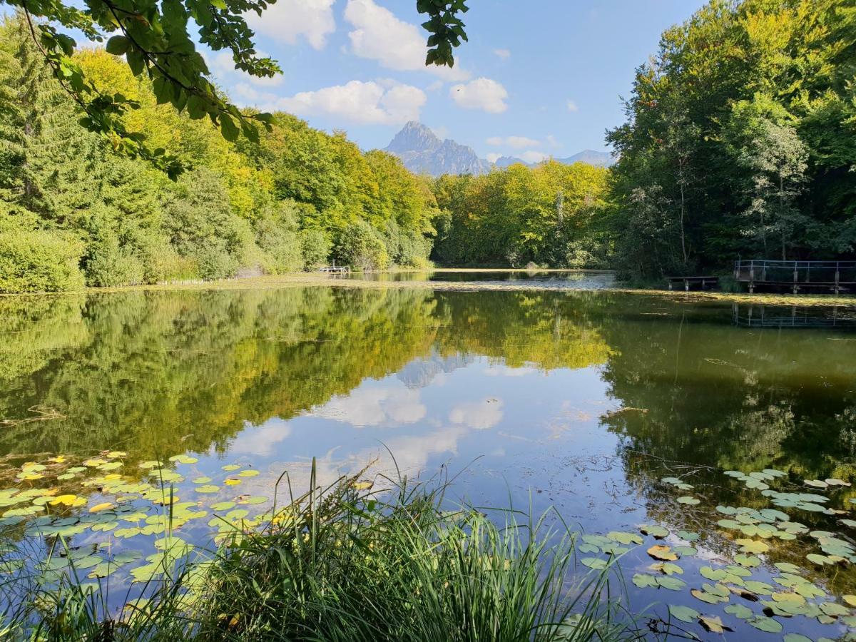 Entre Lac Et Montagnes Bernex Εξωτερικό φωτογραφία